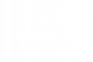 Logo Transparent